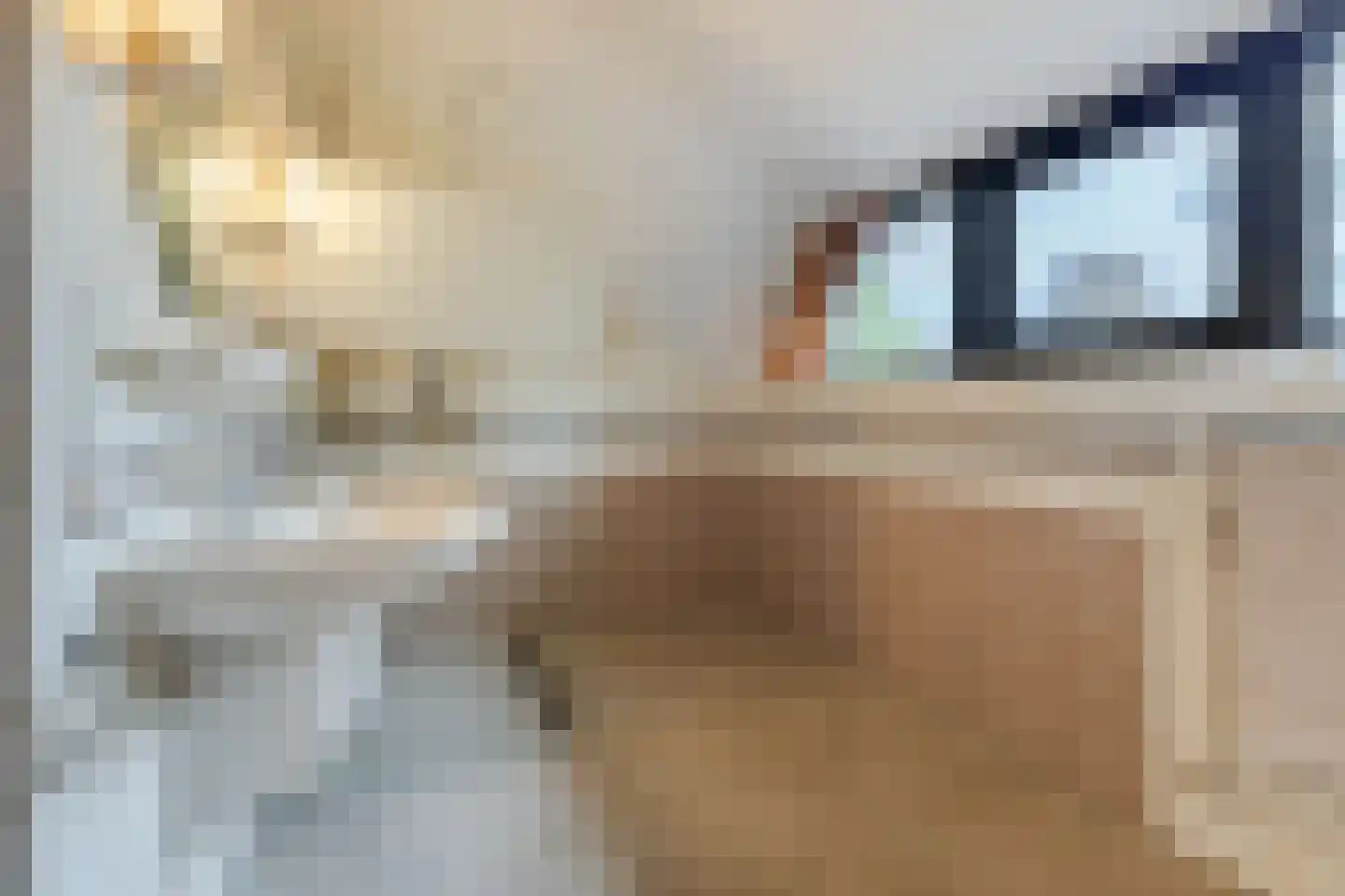 Thorbeckelaan 17 Veghel thumbnail 40