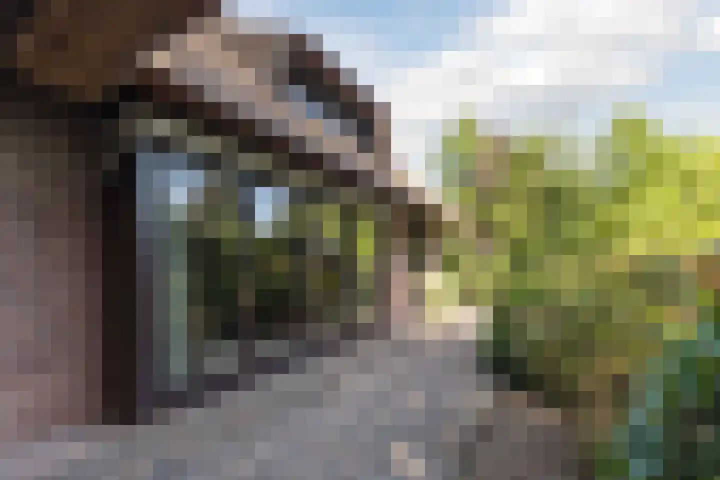 Thorbeckelaan 17 Veghel thumbnail 46