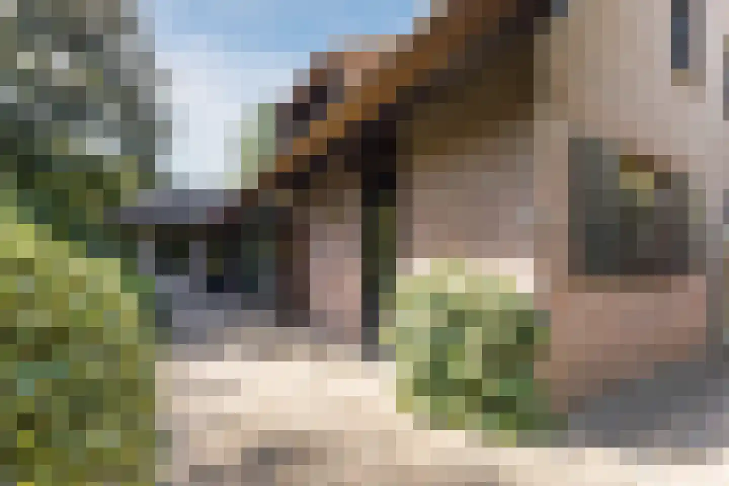 Thorbeckelaan 17 Veghel thumbnail 47