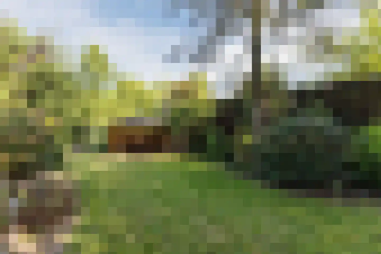 Thorbeckelaan 17 Veghel thumbnail 48