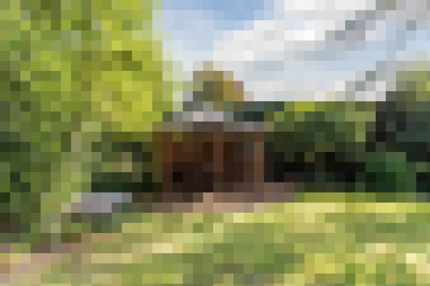 Thorbeckelaan 17 Veghel thumbnail 52