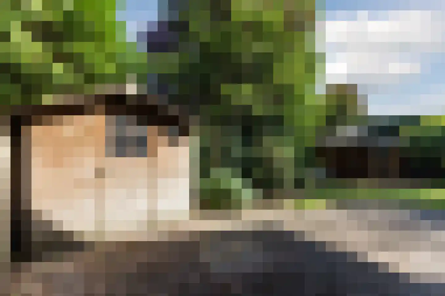 Thorbeckelaan 17 Veghel thumbnail 55