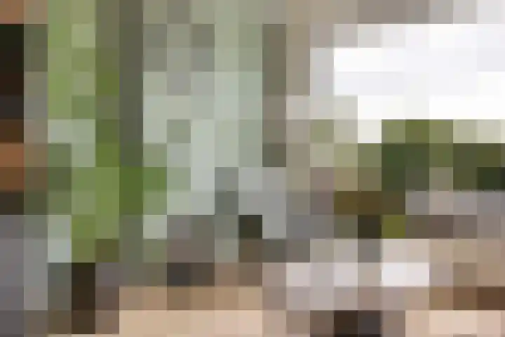 Thorbeckelaan 171 Gouda thumbnail 14