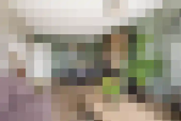 Thorbeckelaan 171 Gouda thumbnail 17