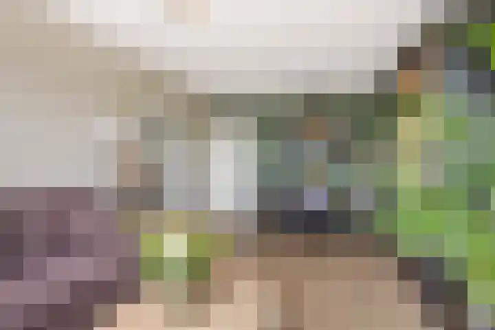 Thorbeckelaan 171 Gouda thumbnail 18
