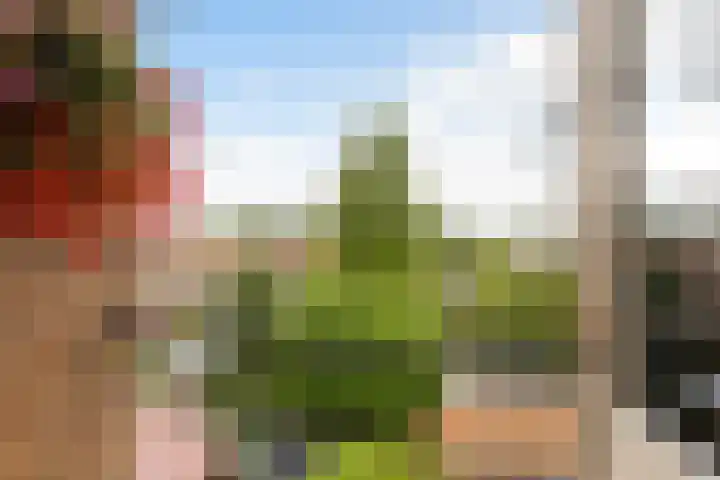 Thorbeckelaan 171 Gouda thumbnail 27