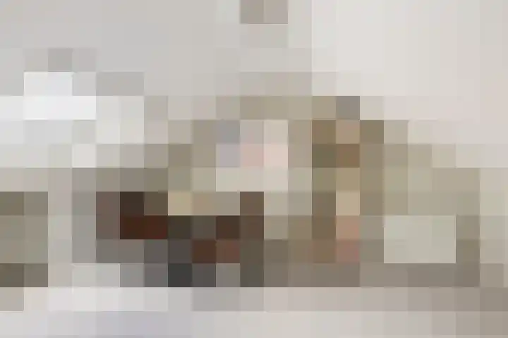 Thorbeckelaan 171 Gouda thumbnail 42