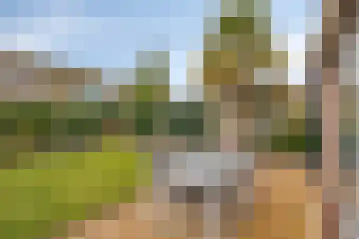 Thorbeckelaan 172 Roosendaal thumbnail 42