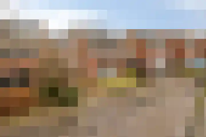 Thorbeckelaan 172 Roosendaal thumbnail 48