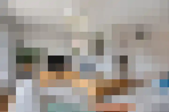 Thorbeckelaan 172 Roosendaal thumbnail 8