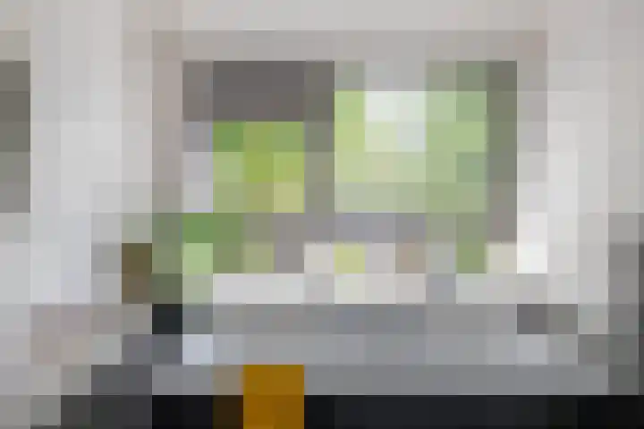 Thorbeckelaan 174 Groningen thumbnail 20