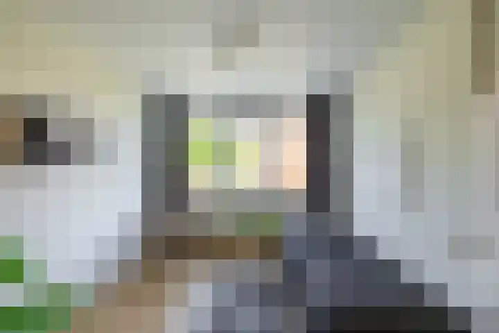 Thorbeckelaan 174 Groningen thumbnail 22