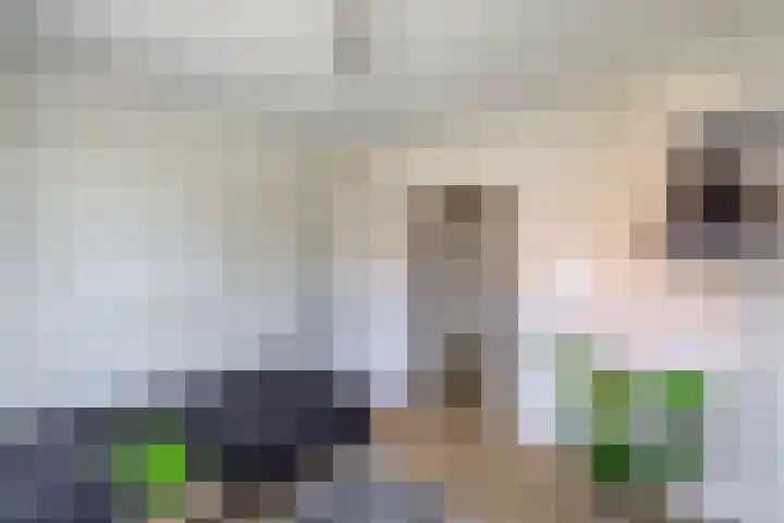 Thorbeckelaan 174 Groningen thumbnail 23