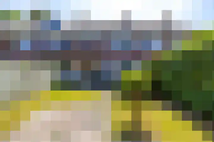 Thorbeckelaan 174 Groningen thumbnail 33