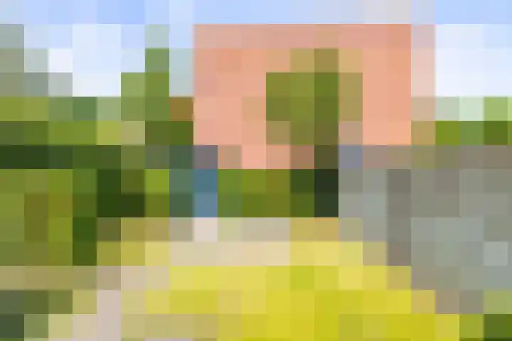 Thorbeckelaan 174 Groningen thumbnail 35