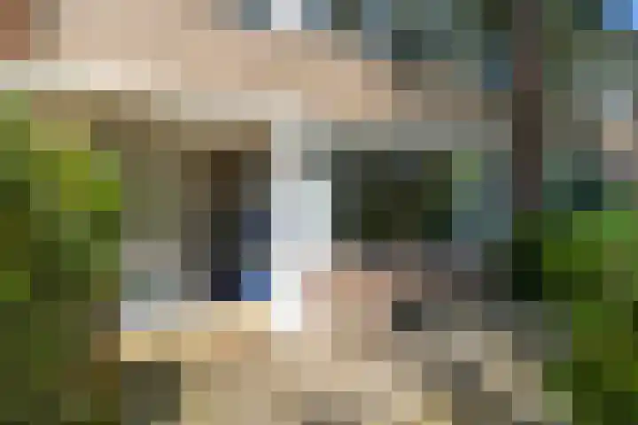 Thorbeckelaan 174 Groningen thumbnail 4
