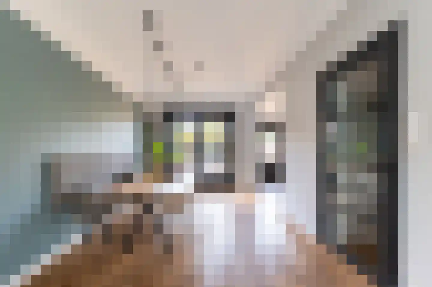 Thorbeckelaan 18 Naarden thumbnail 10