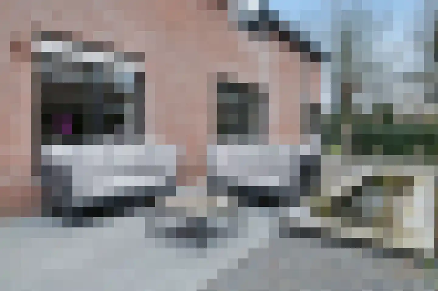 Thorbeckelaan 185 Roosendaal thumbnail 29