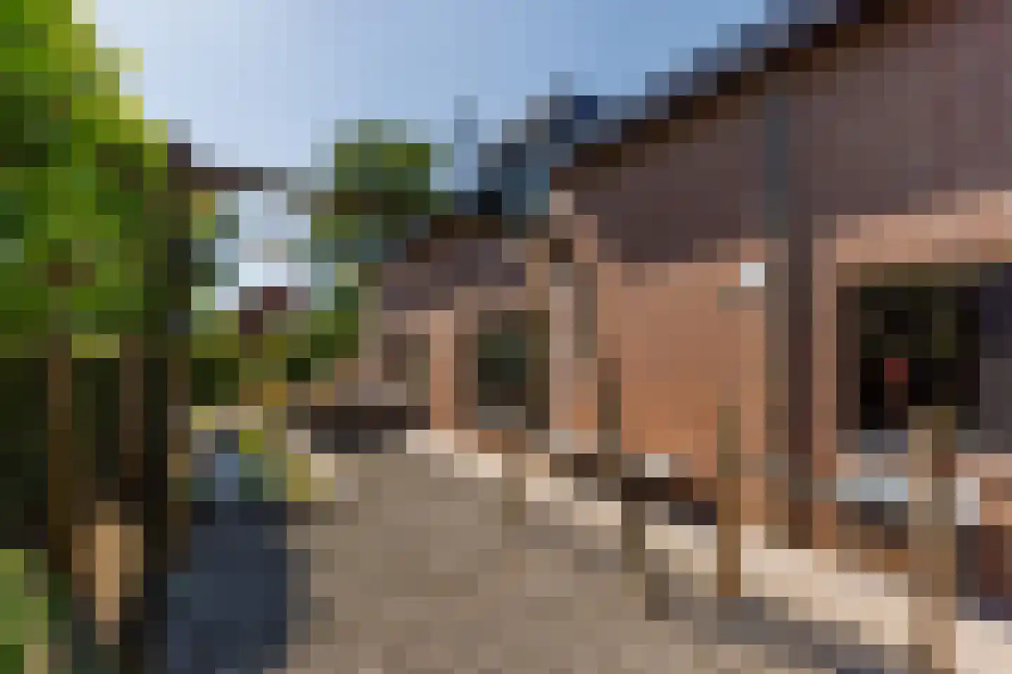 Thorbeckelaan 185 Roosendaal thumbnail 30
