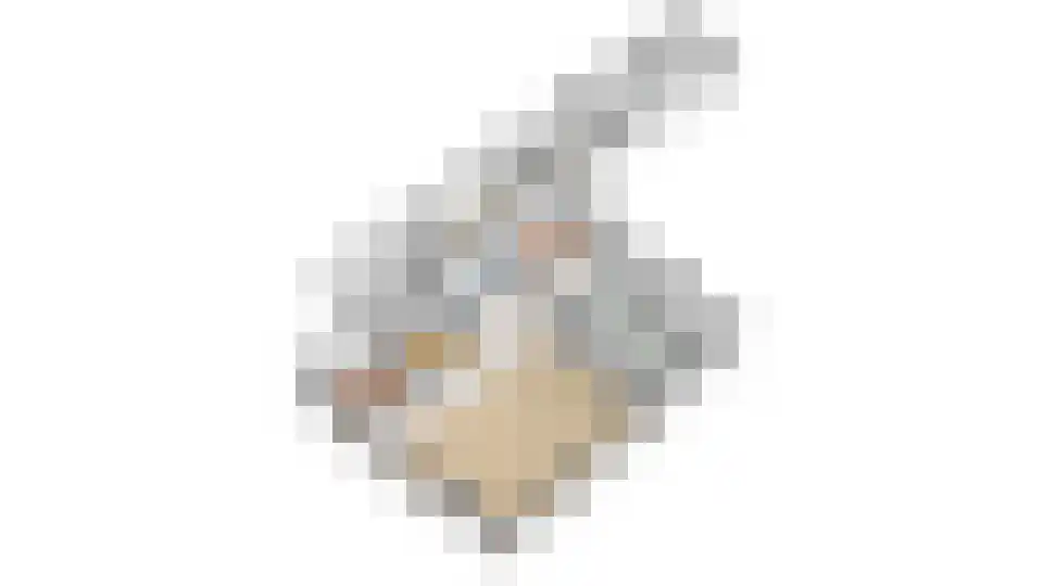 Thorbeckelaan 185 Roosendaal thumbnail 73