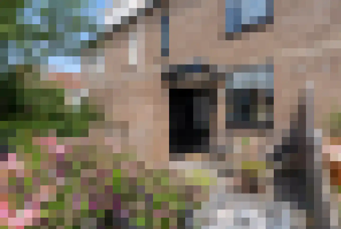 Thorbeckelaan 19 in Spijkenisse