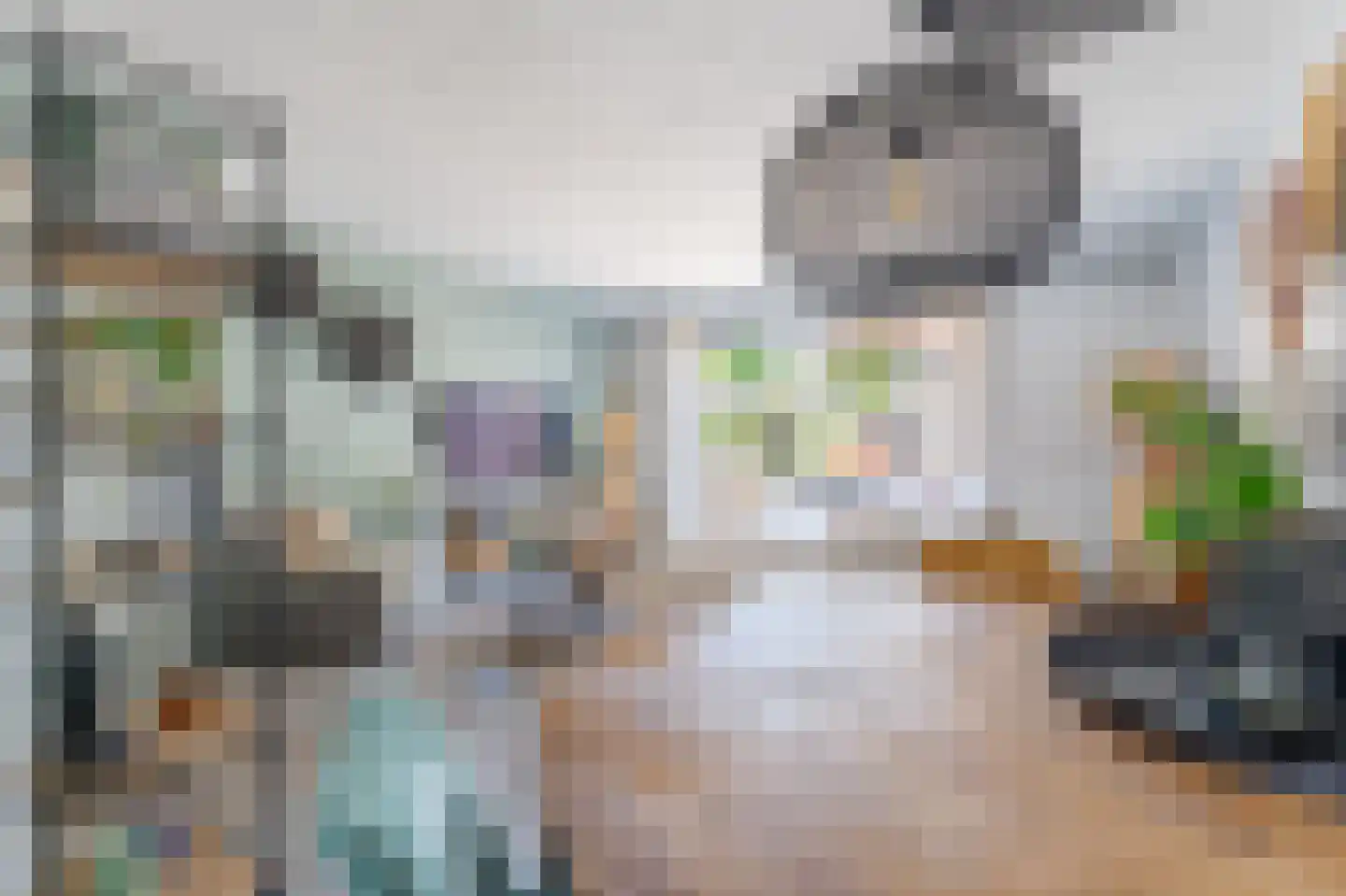 Thorbeckelaan 19 Spijkenisse thumbnail 16