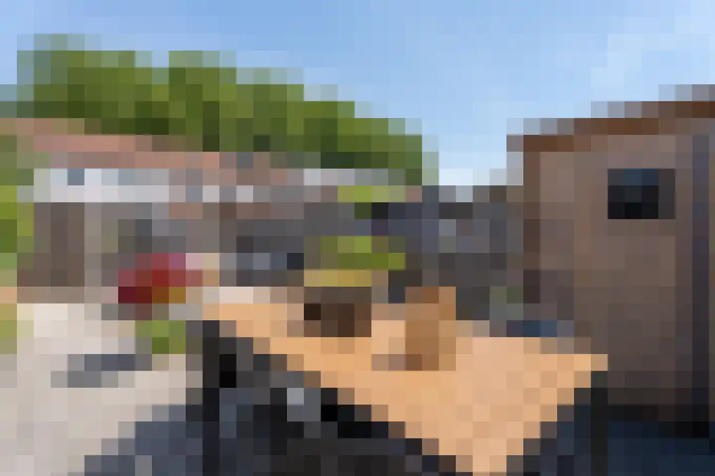 Thorbeckelaan 19 Spijkenisse thumbnail 18