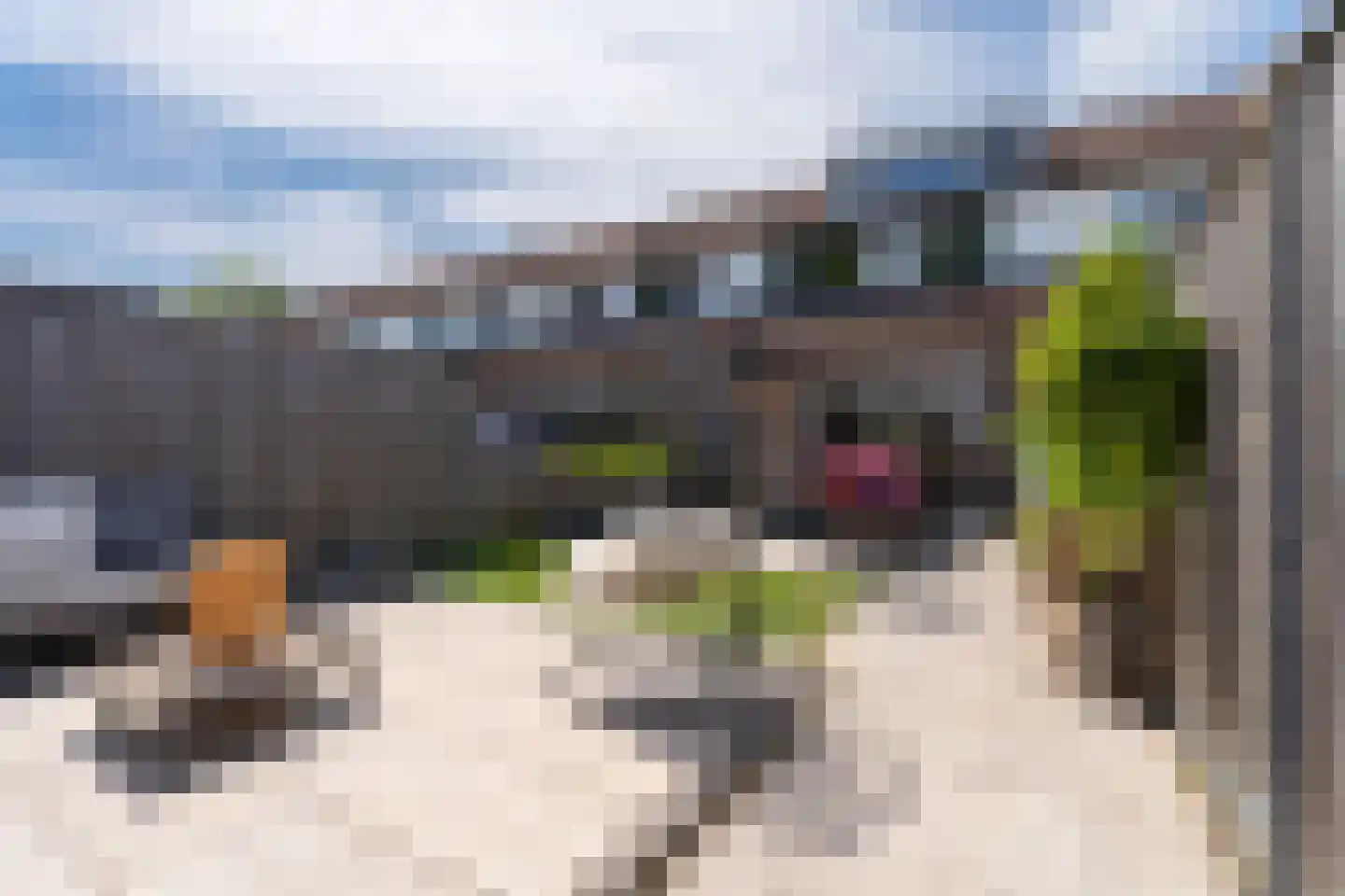 Thorbeckelaan 19 Spijkenisse thumbnail 20