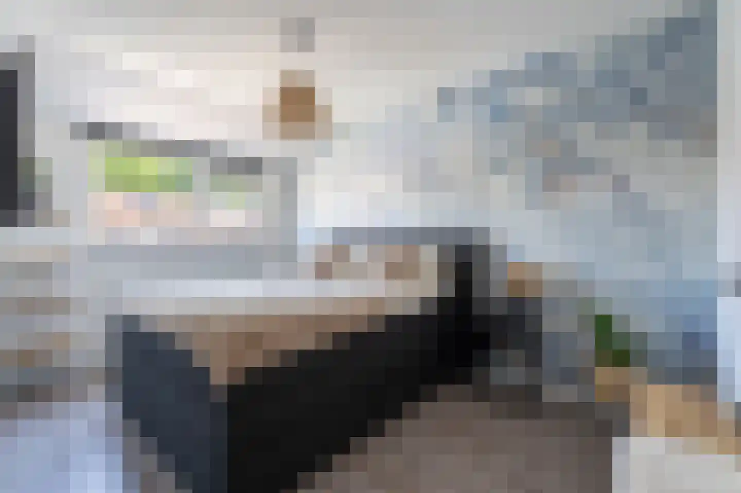 Thorbeckelaan 19 Spijkenisse thumbnail 25