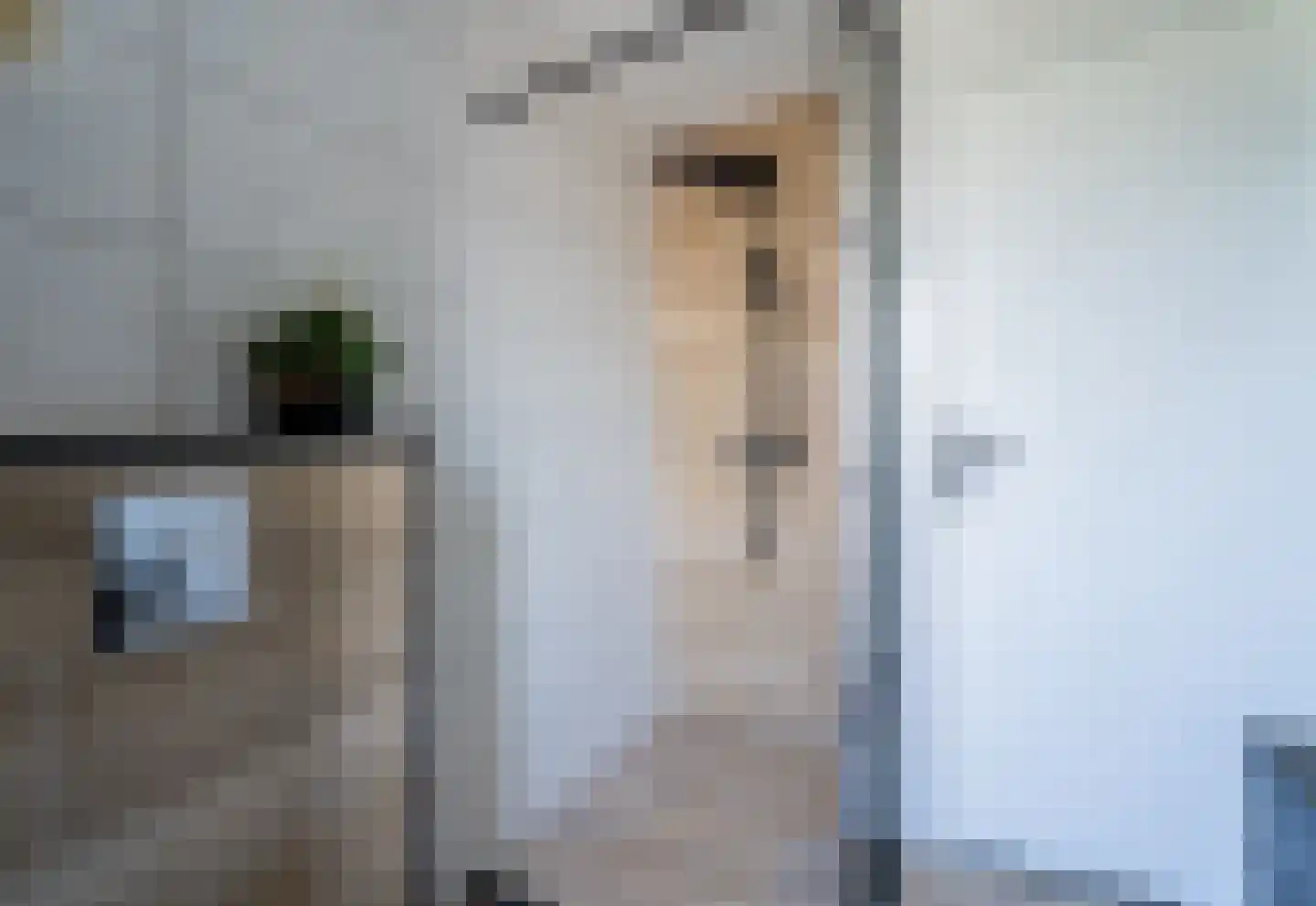 Thorbeckelaan 19 Spijkenisse thumbnail 26