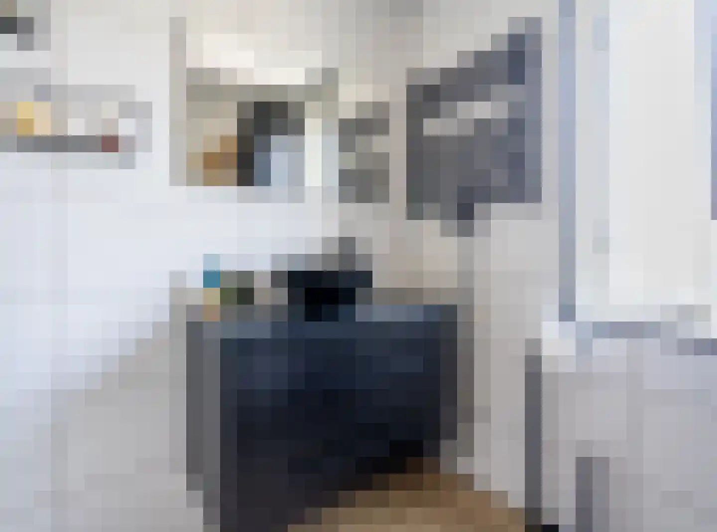 Thorbeckelaan 19 Spijkenisse thumbnail 27