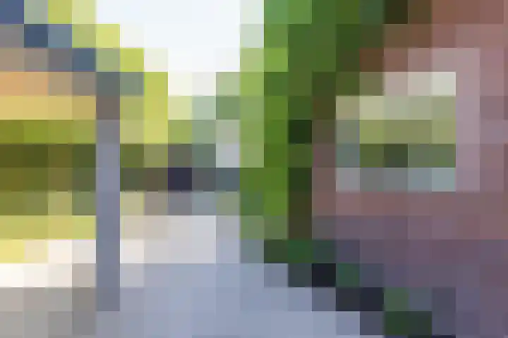 Thorbeckelaan 2 Naarden thumbnail 74