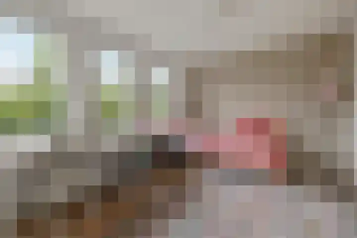 Thorbeckelaan 21 Naarden thumbnail 22