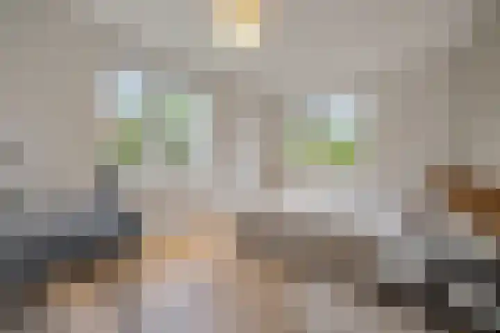 Thorbeckelaan 21 Naarden thumbnail 27