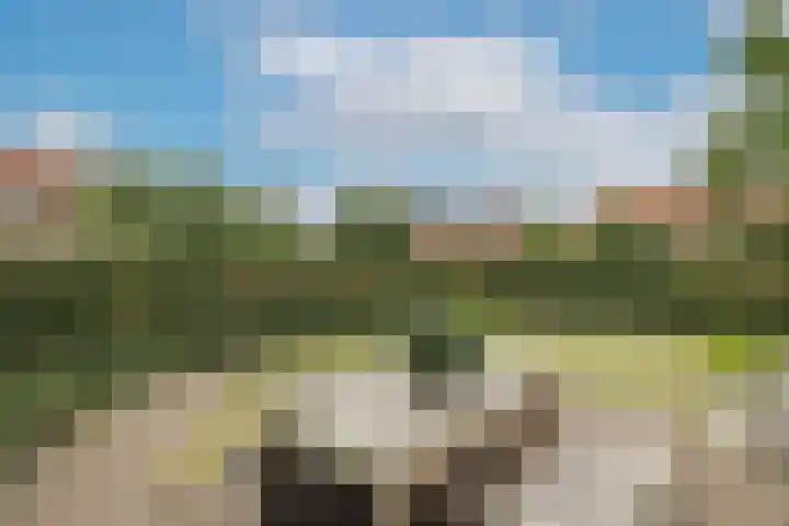 Thorbeckelaan 21 Naarden thumbnail 41