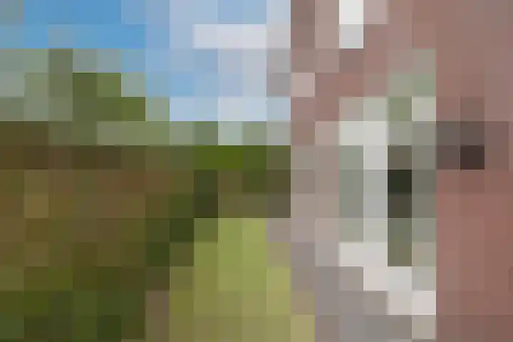 Thorbeckelaan 21 Naarden thumbnail 43