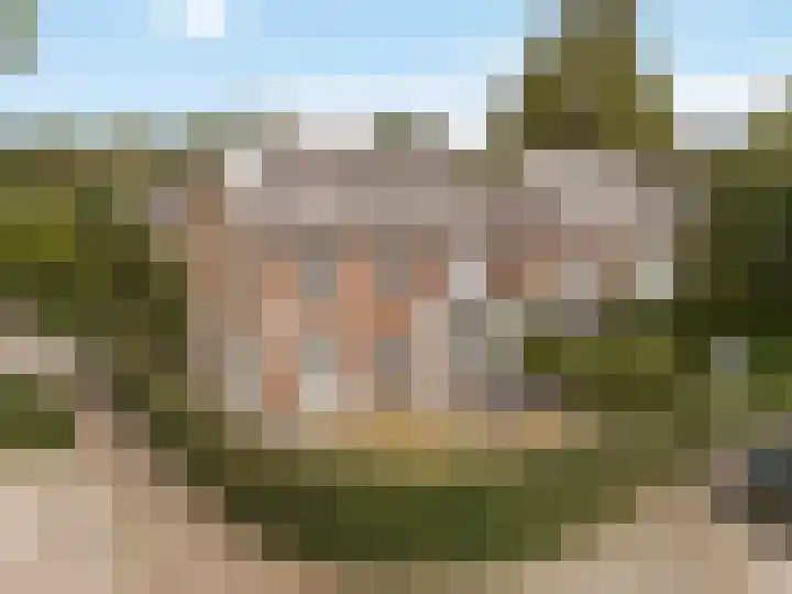 Thorbeckelaan 21 Naarden thumbnail 49