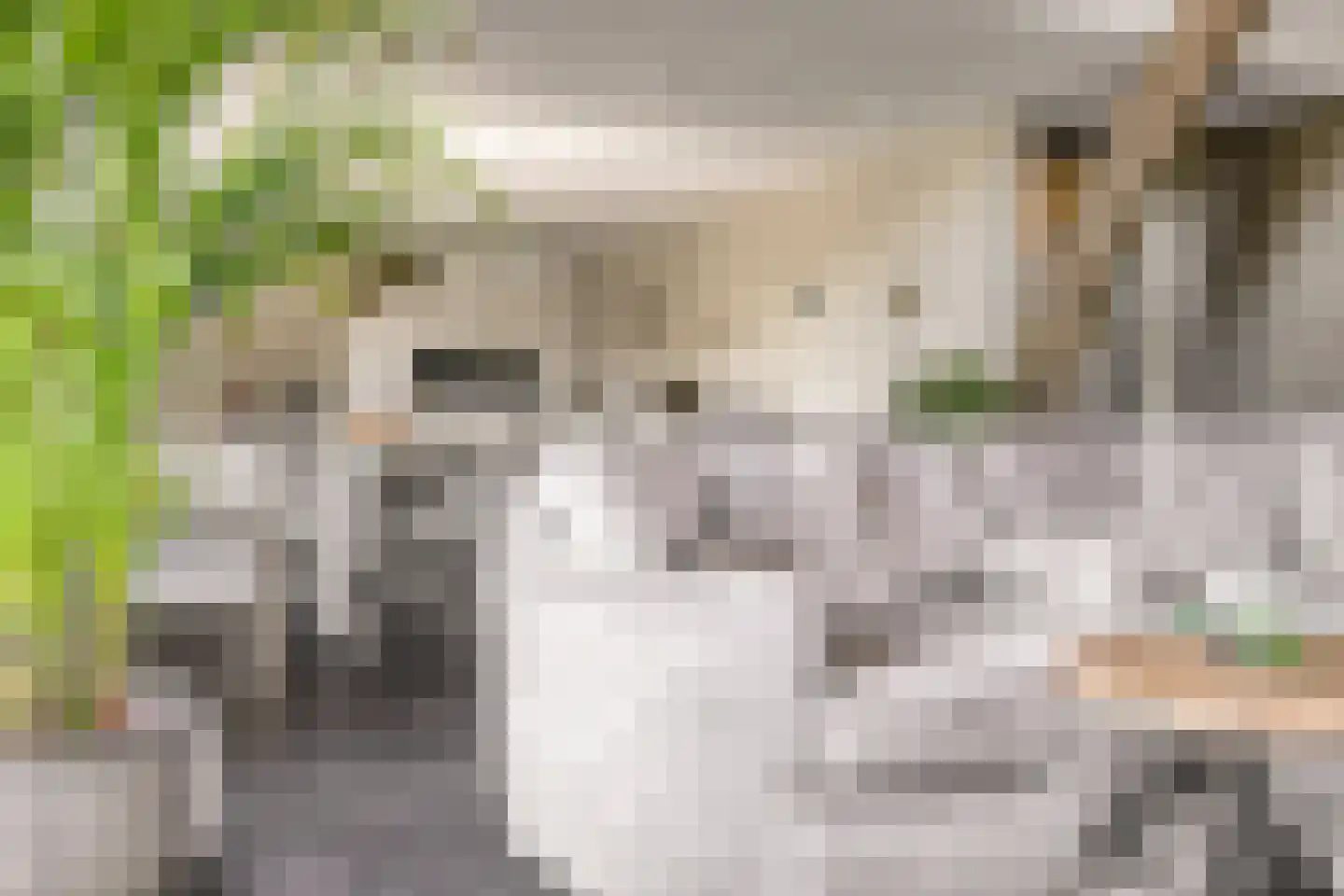 Thorbeckelaan 22 C Barneveld thumbnail 16