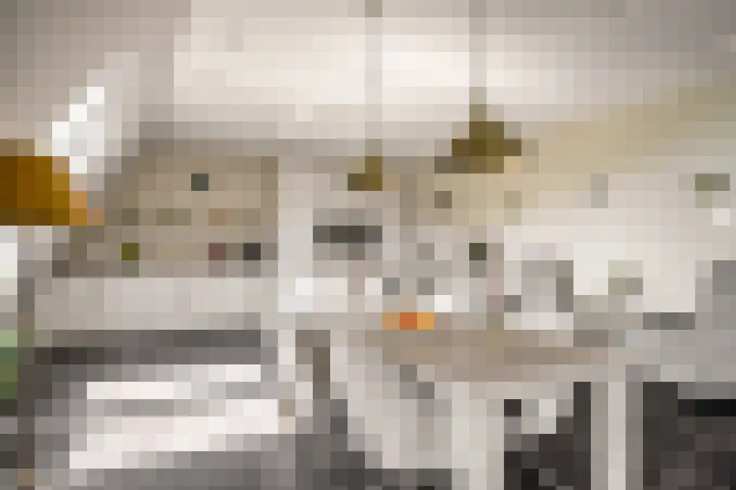 Thorbeckelaan 22 C Barneveld thumbnail 21