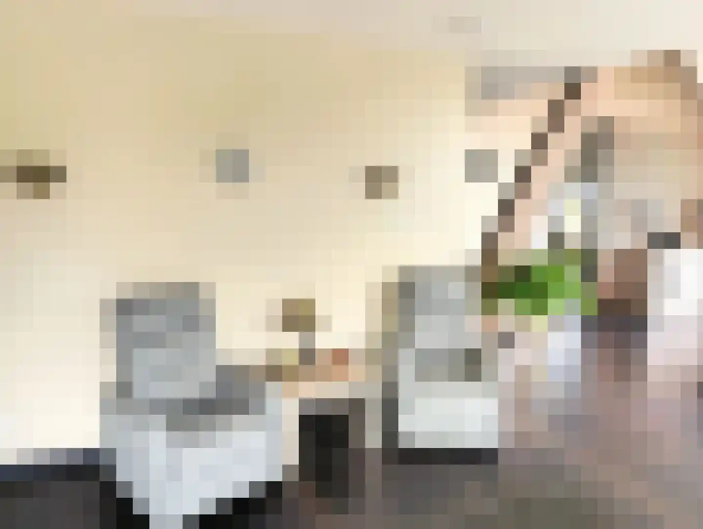 Thorbeckelaan 22 C Barneveld thumbnail 25