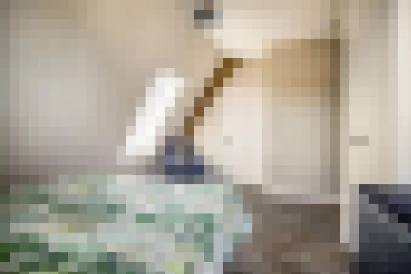 Thorbeckelaan 22 C Barneveld thumbnail 36