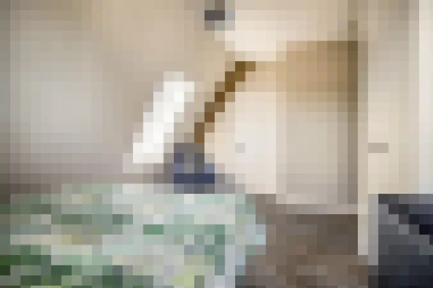Thorbeckelaan 22 H Barneveld thumbnail 39
