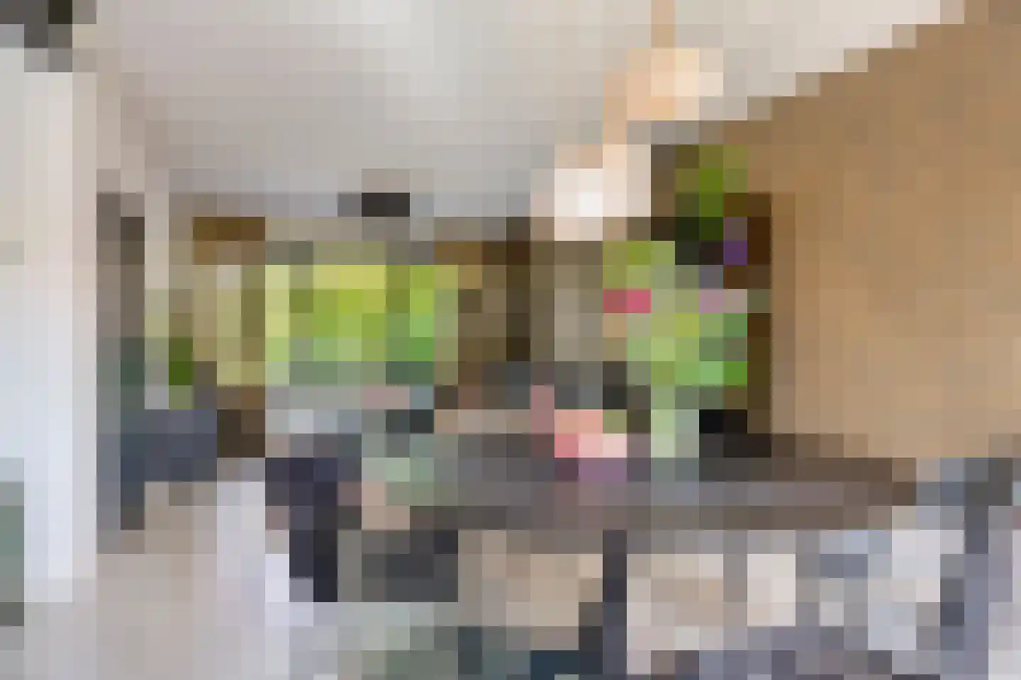 Thorbeckelaan 22 Son en Breugel thumbnail 12