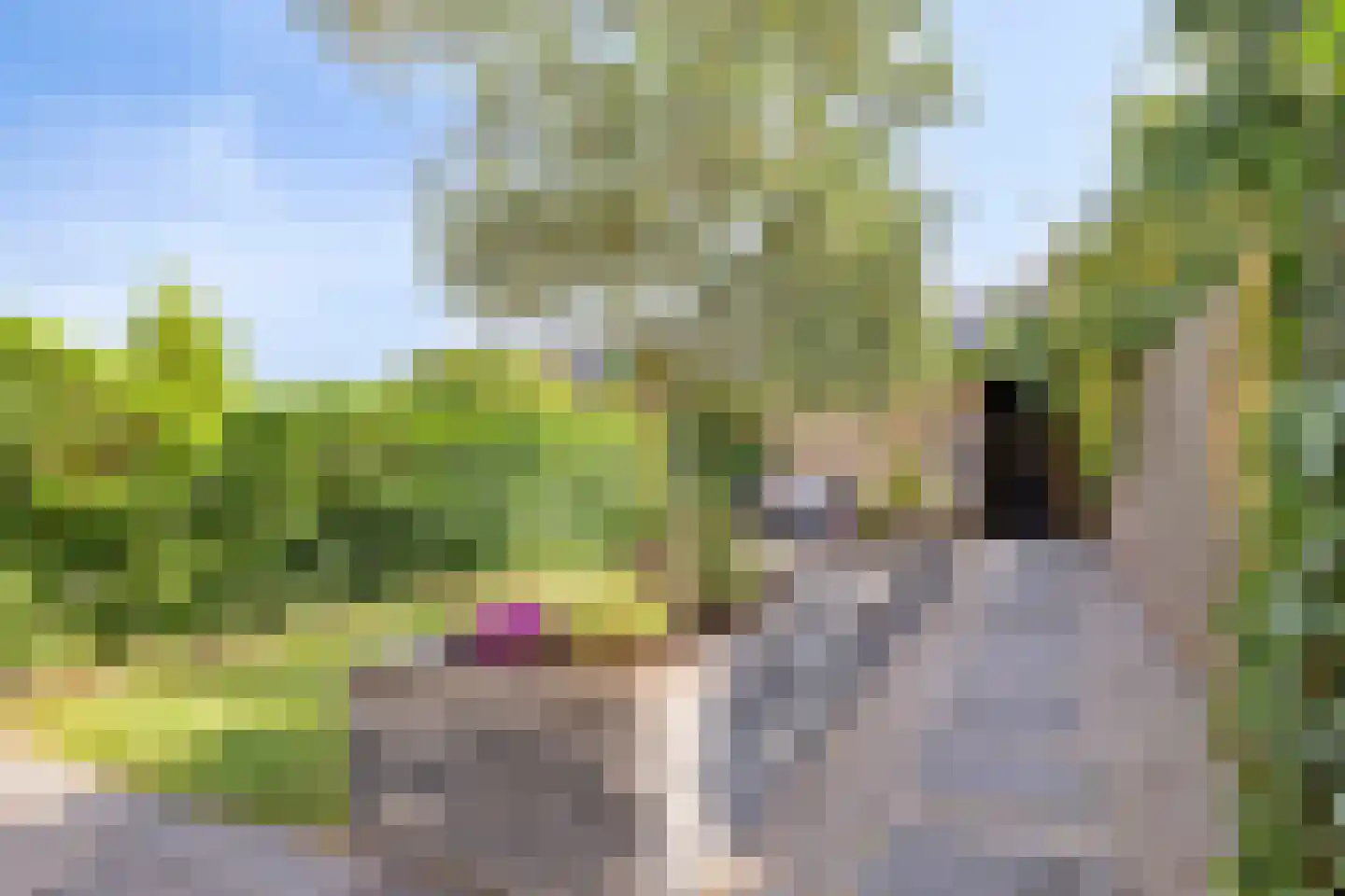 Thorbeckelaan 22 Son en Breugel thumbnail 38