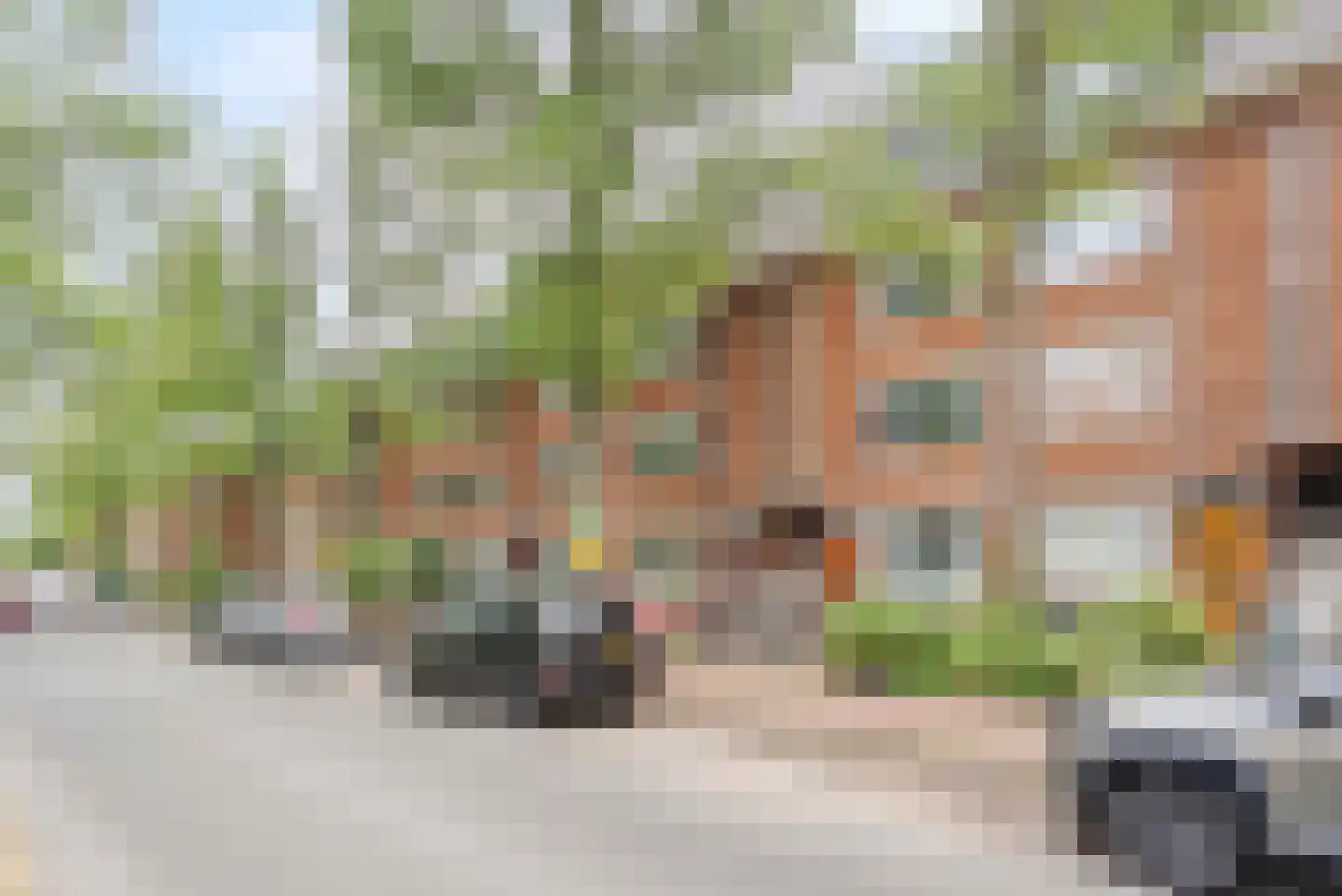 Thorbeckelaan 228 Den Haag thumbnail 4