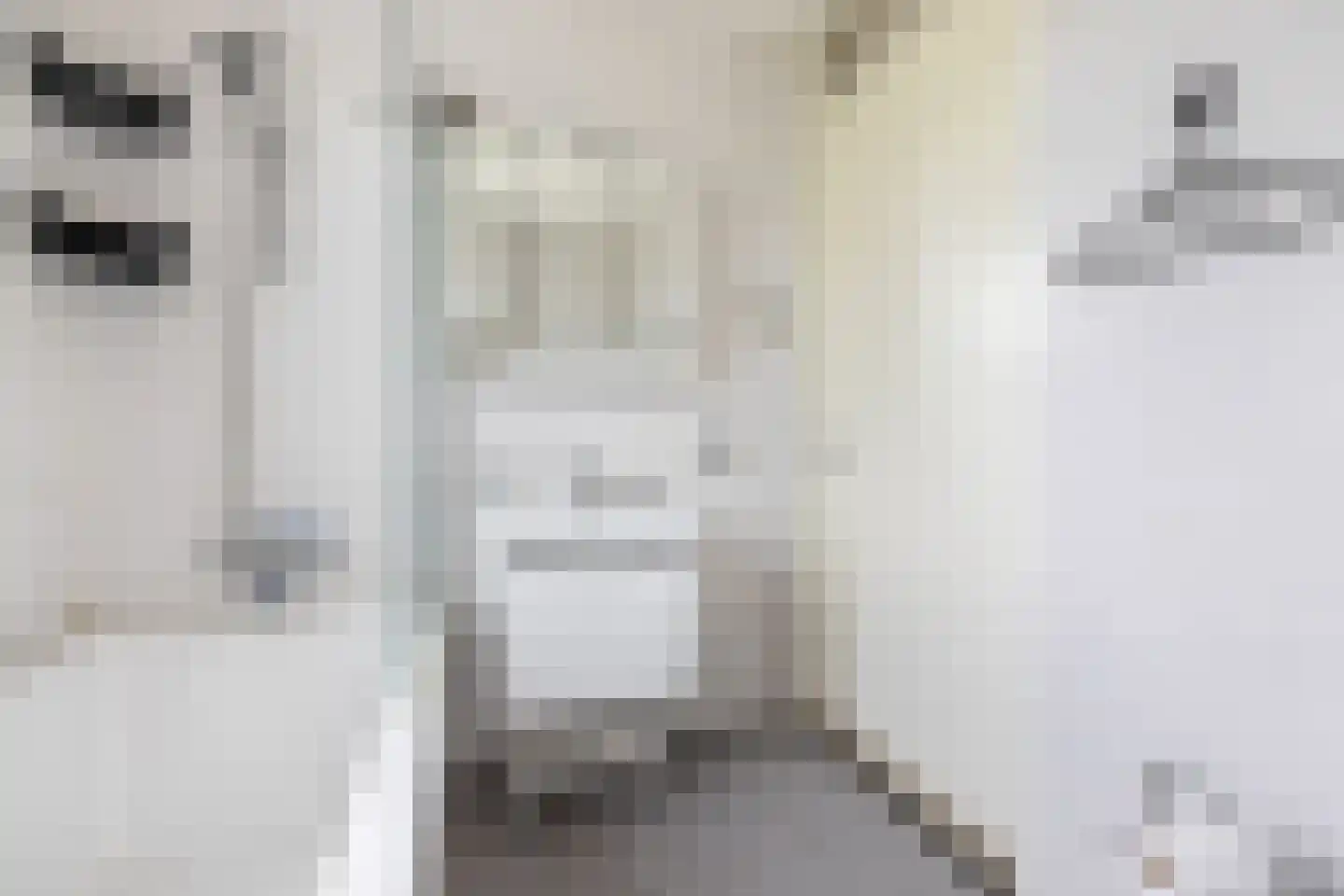Thorbeckelaan 23 Pijnacker thumbnail 18