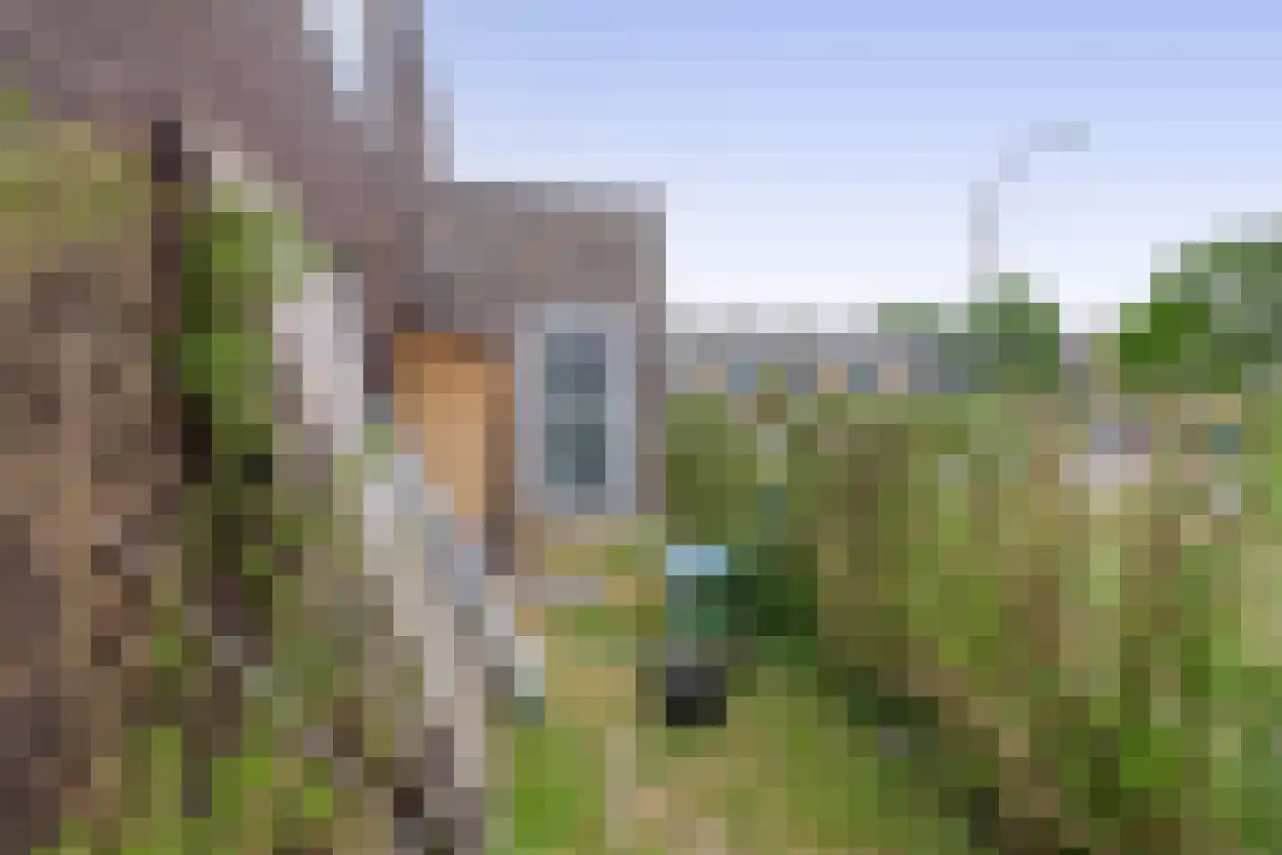 Thorbeckelaan 23 Pijnacker thumbnail 22
