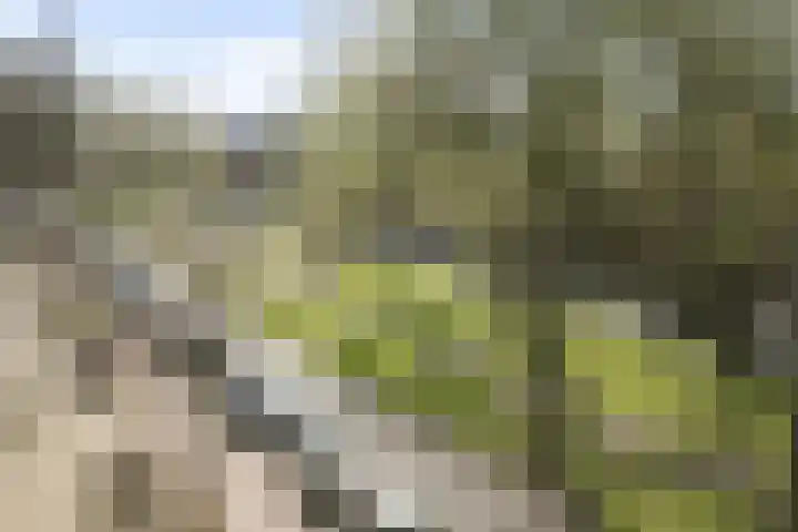 Thorbeckelaan 245 Den Haag thumbnail 33
