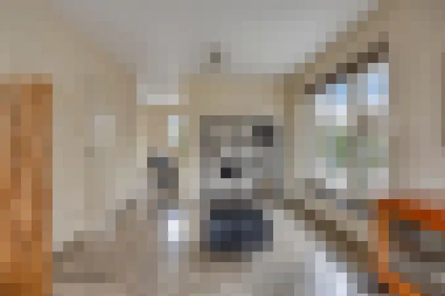 Thorbeckelaan 246 Roosendaal thumbnail 12