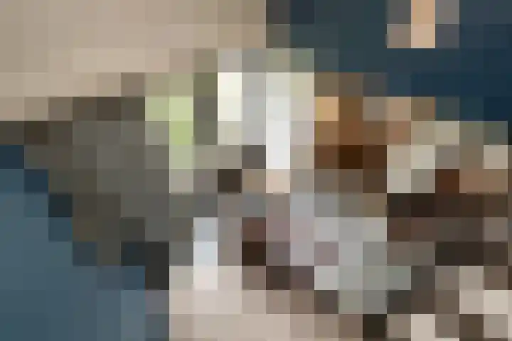 Thorbeckelaan 25 Barneveld thumbnail 22